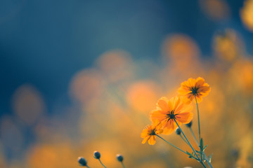 李靖和李绩哪个厉害