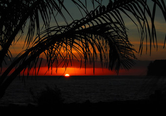 中班古诗有哪些