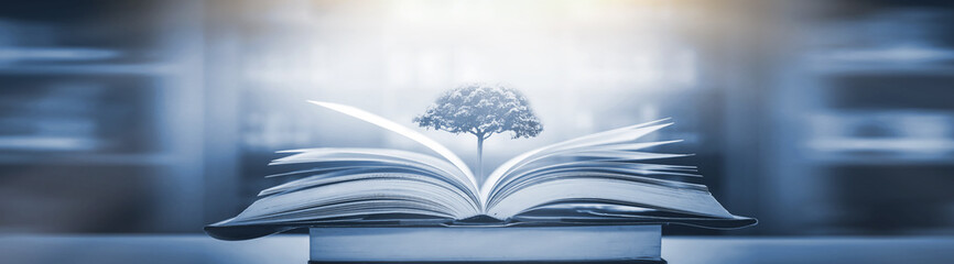 幼儿园大班语言教案-《春天来了》