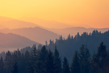 小班运动会策划方案