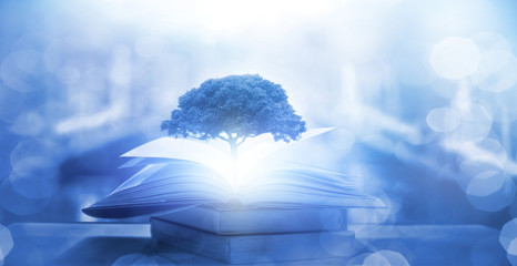 什么是中国古代儿童启蒙读物-