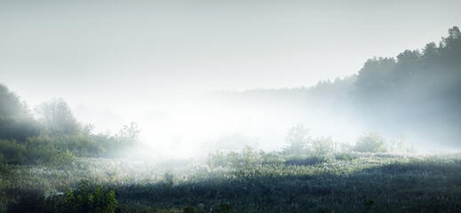 宇宙是由什么元素组成的