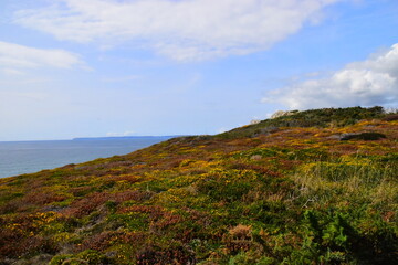 李靖和李绩哪个厉害