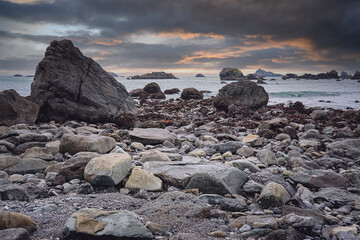幼儿园大班语言教案-《春天来了》