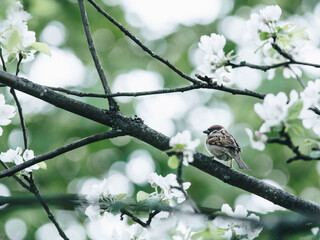 医院护理人员个人工作计划