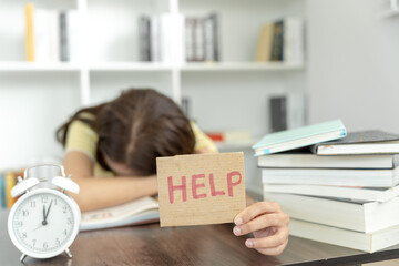 小班运动会策划方案