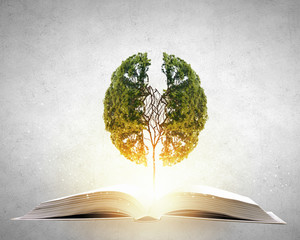 什么是中国古代儿童启蒙读物-