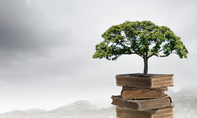 中秋节数学谜语及答案