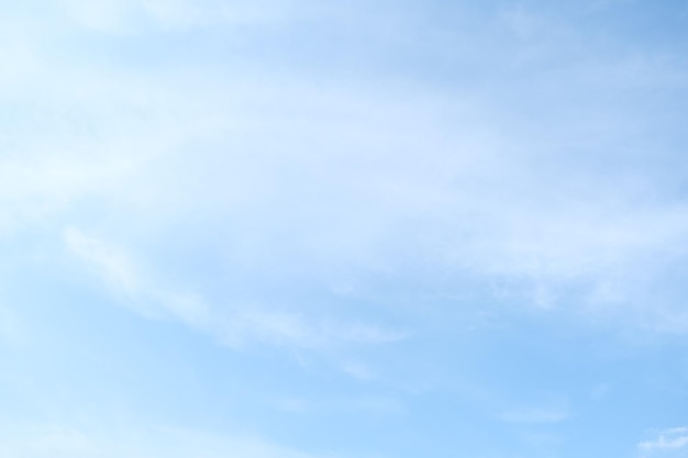 小学六年级英语翻译。加50分~~