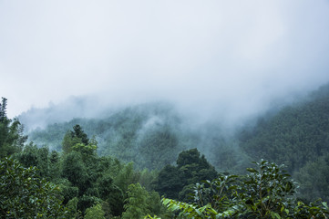 问候早安健康句子简短（热门60句）